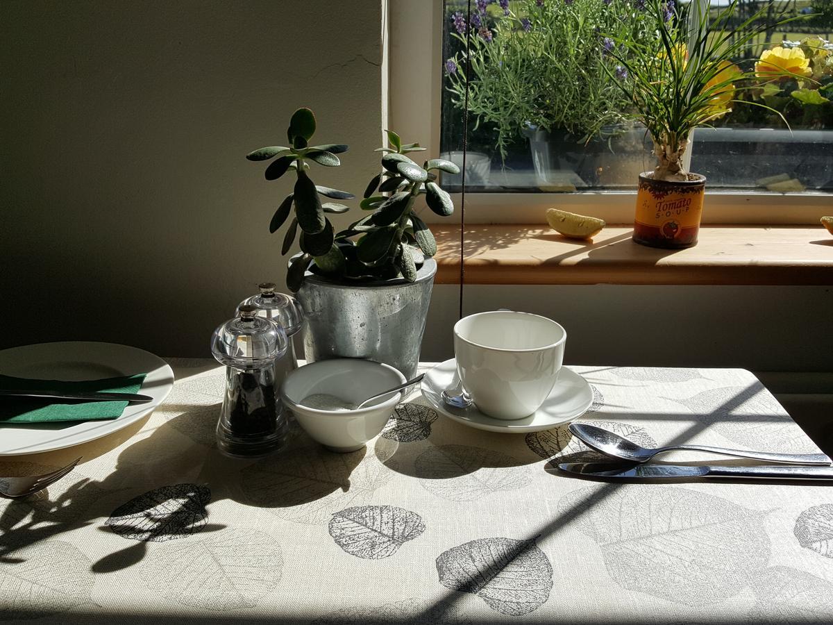 كليفدين Hillside Lodge B&B المظهر الخارجي الصورة